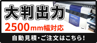 ��Ƚ���Ϥμ�ư���ѡ�����ʸ