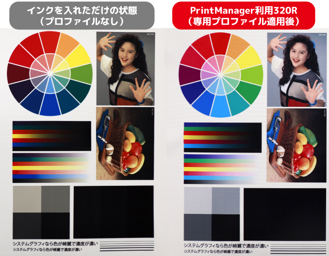 オリジナルRIPソフトがついた昇華転写プリンター
