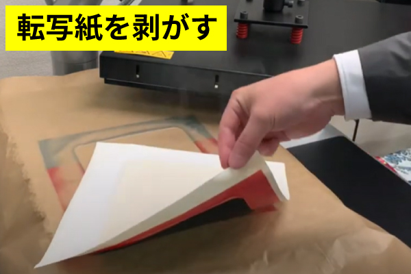 サンプル