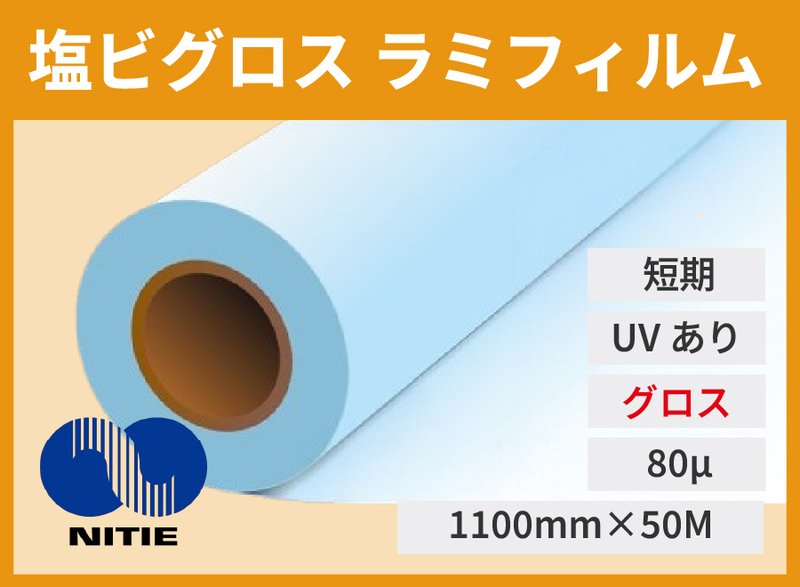 ˥ ûѥߥ/  110050   [NHF-109G]